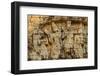 Sambor Prei Kuk, South Group Temples, Pre-Angkorian Period-Nathalie Cuvelier-Framed Photographic Print