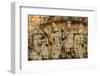 Sambor Prei Kuk, South Group Temples, Pre-Angkorian Period-Nathalie Cuvelier-Framed Photographic Print