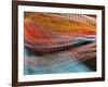 Samburu Dancer's Colorful Necklace, Samburu National Reserve, Kenya-Arthur Morris-Framed Photographic Print