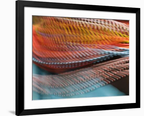 Samburu Dancer's Colorful Necklace, Samburu National Reserve, Kenya-Arthur Morris-Framed Photographic Print