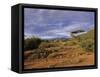 Samburu National Reserve, Kenya, East Africa, Africa-Robert Harding-Framed Stretched Canvas