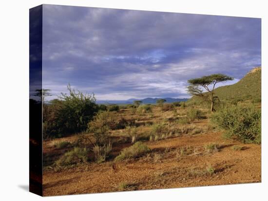 Samburu National Reserve, Kenya, East Africa, Africa-Robert Harding-Stretched Canvas