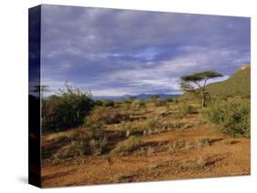 Samburu National Reserve, Kenya, East Africa, Africa-Robert Harding-Stretched Canvas