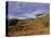 Samburu National Reserve, Kenya, East Africa, Africa-Robert Harding-Stretched Canvas