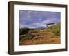 Samburu National Reserve, Kenya, East Africa, Africa-Robert Harding-Framed Photographic Print