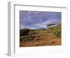 Samburu National Reserve, Kenya, East Africa, Africa-Robert Harding-Framed Photographic Print