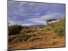 Samburu National Reserve, Kenya, East Africa, Africa-Robert Harding-Mounted Photographic Print