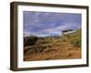 Samburu National Reserve, Kenya, East Africa, Africa-Robert Harding-Framed Photographic Print