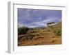 Samburu National Reserve, Kenya, East Africa, Africa-Robert Harding-Framed Photographic Print