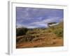 Samburu National Reserve, Kenya, East Africa, Africa-Robert Harding-Framed Photographic Print