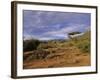 Samburu National Reserve, Kenya, East Africa, Africa-Robert Harding-Framed Photographic Print