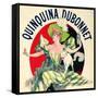 SAME AS ABOVE DIFFERENT RATIO: Quinquina Dubonnet Aperitif Vintage French Poster-null-Framed Stretched Canvas