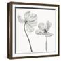 Same tulip : front- and backview-Lotte Gronkjar-Framed Photographic Print