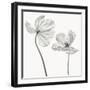Same tulip : front- and backview-Lotte Gronkjar-Framed Photographic Print