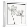Same tulip : front- and backview-Lotte Gronkjar-Framed Photographic Print