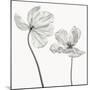 Same tulip : front- and backview-Lotte Gronkjar-Mounted Photographic Print