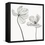 Same tulip : front- and backview-Lotte Gronkjar-Framed Stretched Canvas