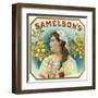 Samelson's Brand Cigar Box Label-Lantern Press-Framed Art Print
