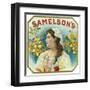 Samelson's Brand Cigar Box Label-Lantern Press-Framed Art Print