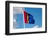 Sami Flag-natburr-Framed Photographic Print