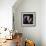 Sammy Davis-null-Framed Photo displayed on a wall