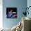 Sammy Davis-null-Photo displayed on a wall