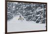 Sammy Podhurst Exploring Marble Bowl On Skis, Colorado-Louis Arevalo-Framed Photographic Print