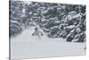Sammy Podhurst Exploring Marble Bowl On Skis, Colorado-Louis Arevalo-Stretched Canvas