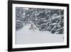 Sammy Podhurst Exploring Marble Bowl On Skis, Colorado-Louis Arevalo-Framed Photographic Print