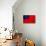 Samoa Flag Design with Wood Patterning - Flags of the World Series-Philippe Hugonnard-Stretched Canvas displayed on a wall