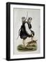 Samoiede, Inhabitant of Siberia, Colored Engraving from Customs of Asia-Nicolas Dally-Framed Giclee Print