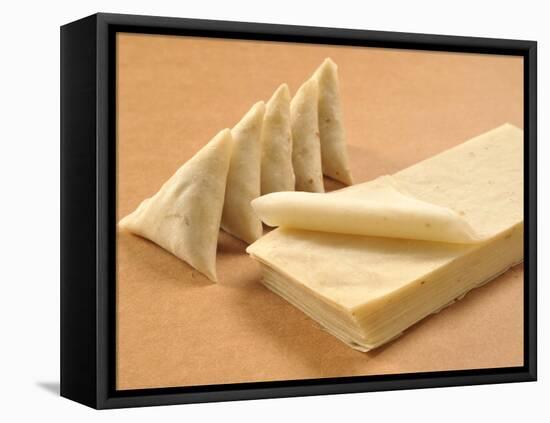 Samosa Sheets-highviews-Framed Stretched Canvas