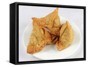 Samosas-WITTY-Framed Stretched Canvas