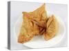 Samosas-WITTY-Stretched Canvas