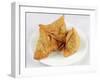 Samosas-WITTY-Framed Photographic Print