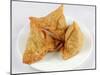 Samosas-WITTY-Mounted Photographic Print