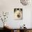 Samoyed Dog, USA-Lynn M. Stone-Photographic Print displayed on a wall