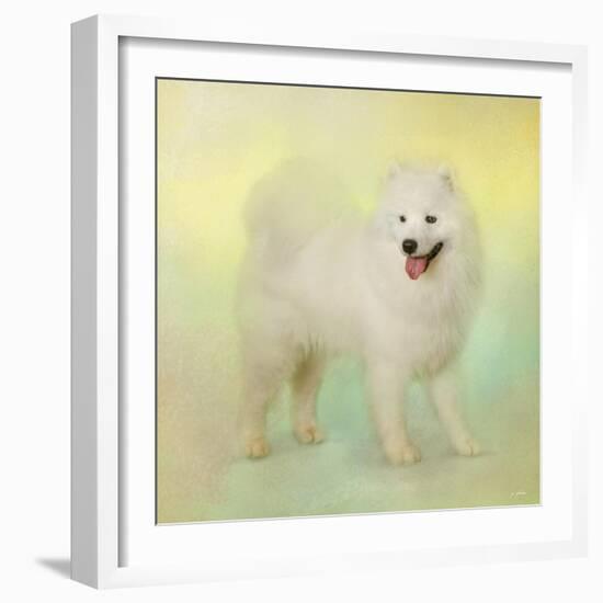 Samoyed in Spring-Jai Johnson-Framed Giclee Print