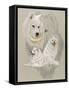 Samoyed-Barbara Keith-Framed Stretched Canvas