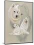 Samoyed-Barbara Keith-Mounted Premium Giclee Print