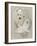 Samoyed-Barbara Keith-Framed Giclee Print