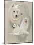 Samoyed-Barbara Keith-Mounted Giclee Print