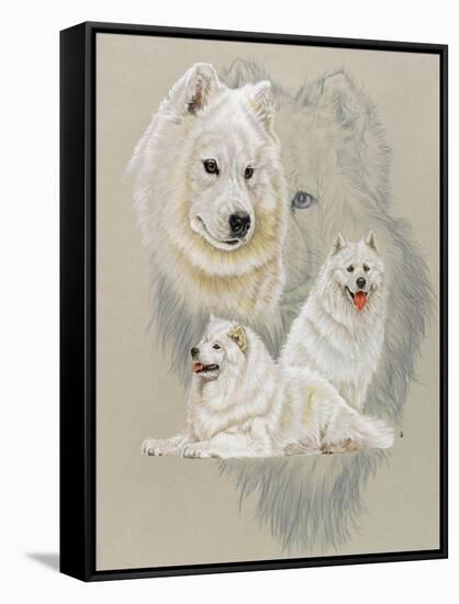 Samoyed-Barbara Keith-Framed Stretched Canvas