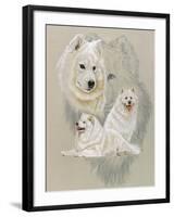 Samoyed-Barbara Keith-Framed Giclee Print