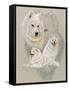 Samoyed-Barbara Keith-Framed Stretched Canvas