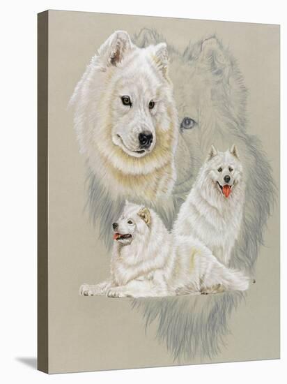 Samoyed-Barbara Keith-Stretched Canvas