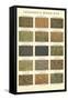 Sample Swatches of Wood Dye-null-Framed Stretched Canvas