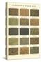 Sample Swatches of Wood Dye-null-Stretched Canvas