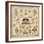 Brown Frame