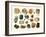 Samples of Gemstones-null-Framed Art Print